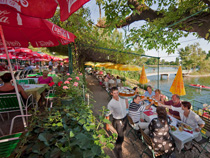 Alte Donau